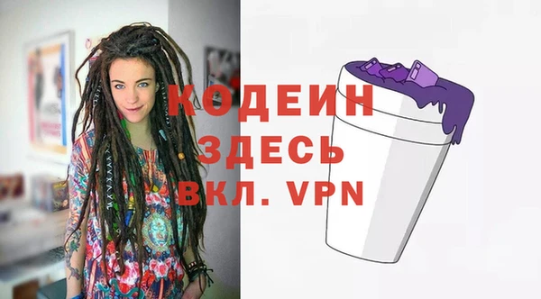 гидра Корсаков