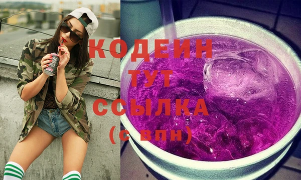 гидра Корсаков