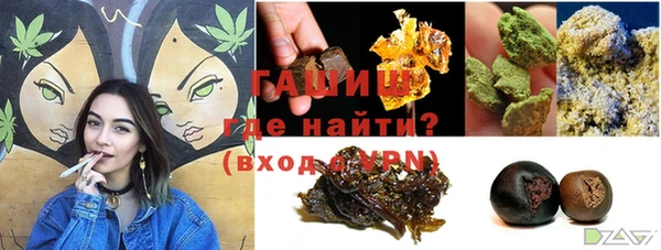 гидра Корсаков